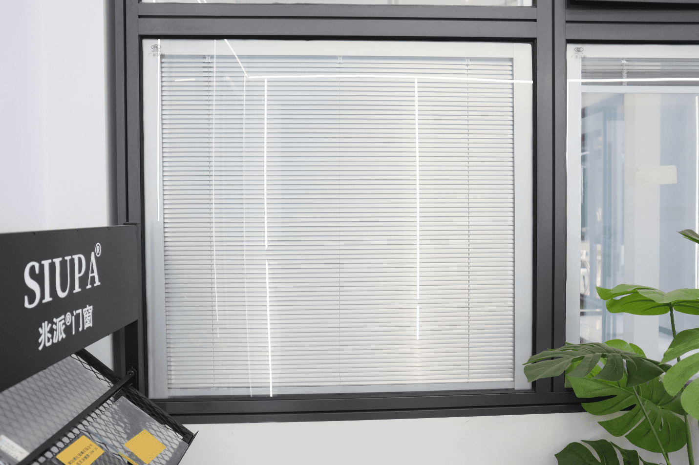 7 Types of Commercial Windows for Businesses